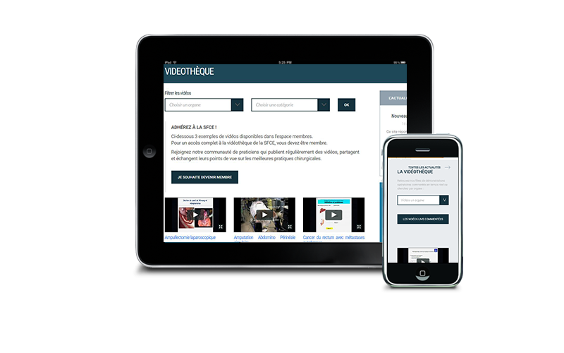 Internet-Extranet de la Société Française de Chirurgie Endoscopique