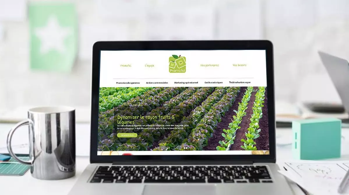 Le site internet de Promofel