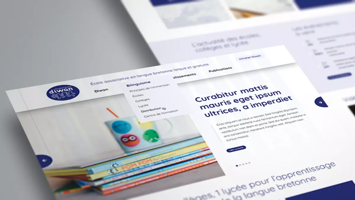 Diwan (Landerneau) - Site internet intranet du réseau, en français et breton