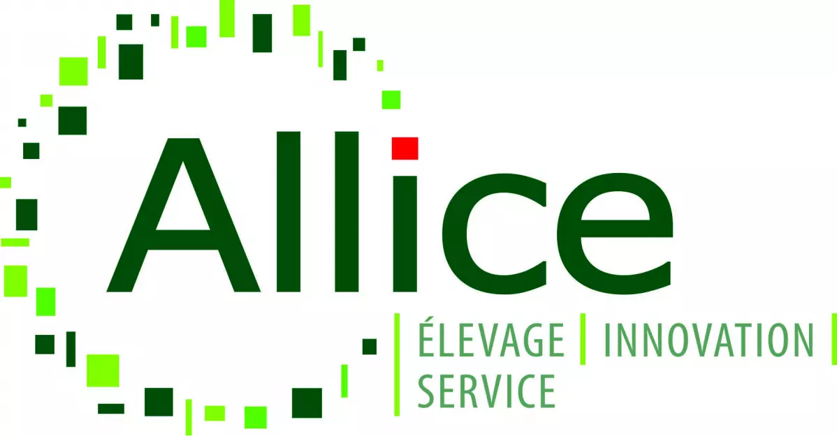 Avis client sur la refonte du site internet Allice
