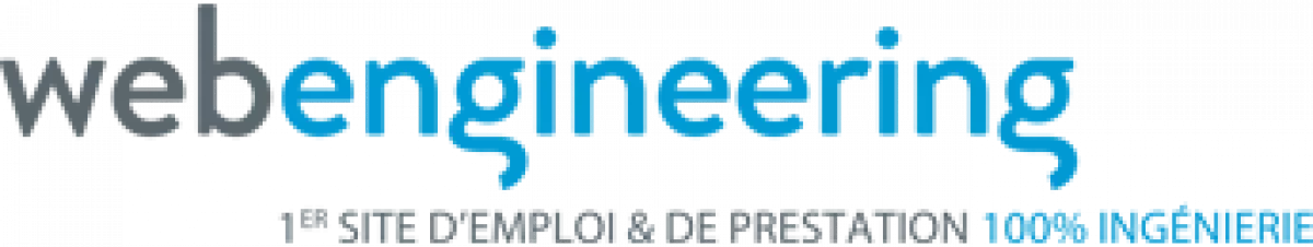 Elaboration d'une Stratégie digitale, l'exemple WebEngineering