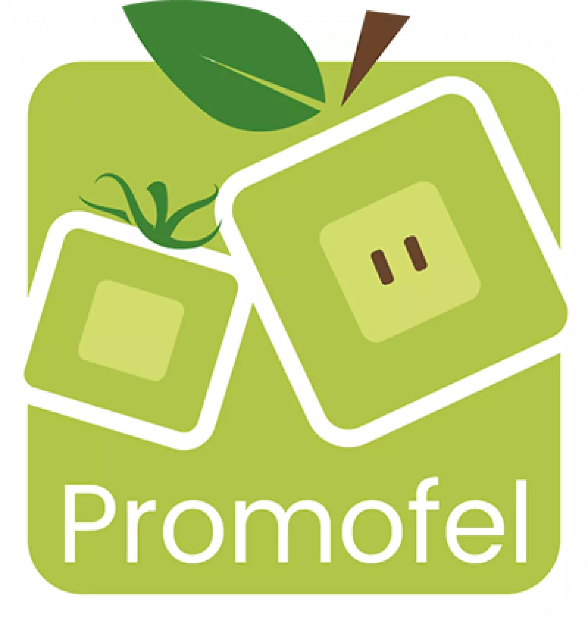 Avis client réalisation du site internet Promofel